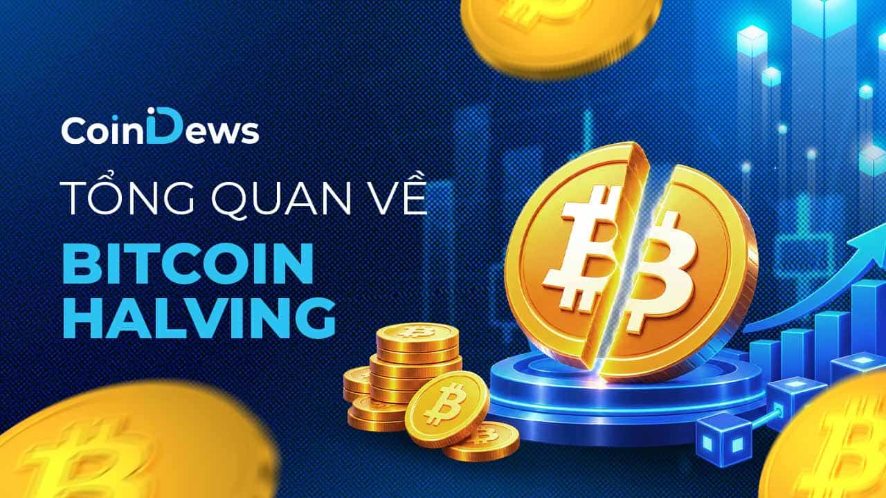 Bitcoin Halving là gì? Cơ chế hoạt động và những tác động quan trọng 