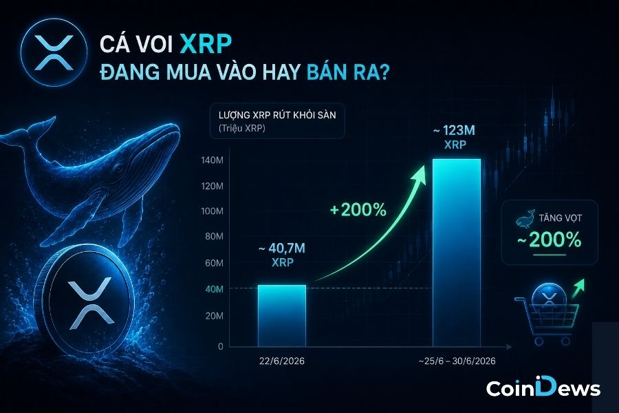 Cá voi XRP đang mua vào hay bán ra?