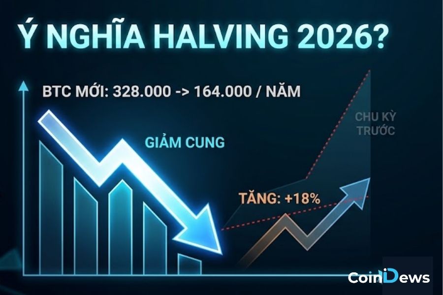 Chu kỳ Halving ảnh hưởng đến giá BTC