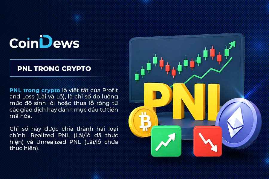 Tổng quan về PNL trong Crypto