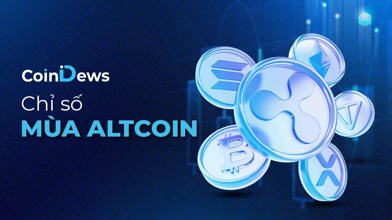 Chỉ số mùa altcoin là gì? Cách đọc Altcoin Season Index trong giao dịch crypto